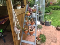 When do you do your hanging baskets?