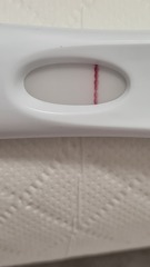 3DPO anyone want to TWW with me?