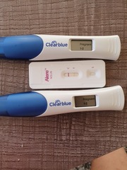 Pregnant or not?