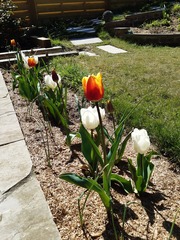 Week 2 - Leaving Lockdown Low Carb Bootcamp