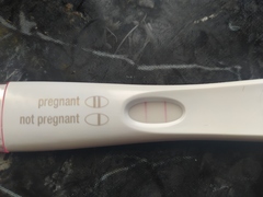 Due December 2021! Thread 2