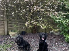 Knit, Crochet and Natter 4 - Yarning into Spring