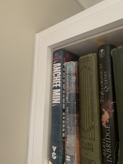 Has anyone painted Ikea Billy bookcases?