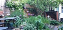 Lovely rambling/cottage garden pictures