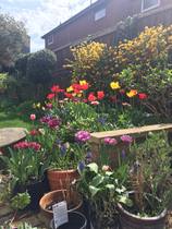 Week 2 - Leaving Lockdown Low Carb Bootcamp