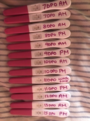 TTC after miscarriage