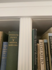 Has anyone painted Ikea Billy bookcases?