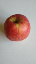 Posting pics of everything you eat thread!