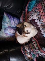 Knit, Crochet and Natter 4 - Yarning into Spring