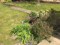 Tricky border and rubbish soil