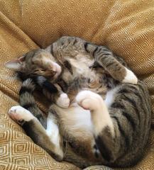 Knit, Crochet and Natter 4 - Yarning into Spring