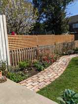 *PICS* Complete novice with a blank slate garden