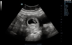 October 2021 - part 2