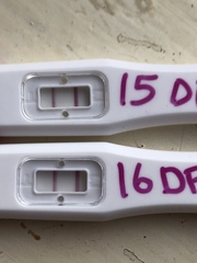TTC after miscarriage