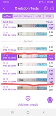 BBT and OPK help please. I'm in denial 🙂