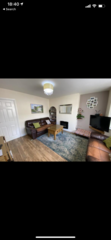 Which sofa color snd rug for that living room