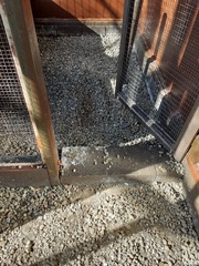 Chicken coop advice