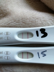 Endometriosis/TWW/pain