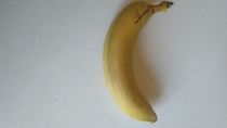 Posting pics of everything you eat thread!