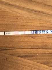TTC after miscarriage