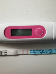 Would you call this a positive? OPK.