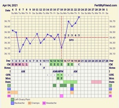 9DPO Symptom Spotting