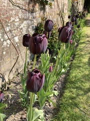 Week 3 - Leaving Lockdown Bootcamp