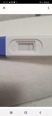 3DPO anyone want to TWW with me?