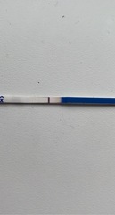 Indent line or faint positive?