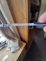 Post faint lines here