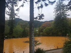 Has anyone been to The Azores,