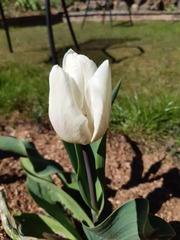 Week 2 - Leaving Lockdown Low Carb Bootcamp