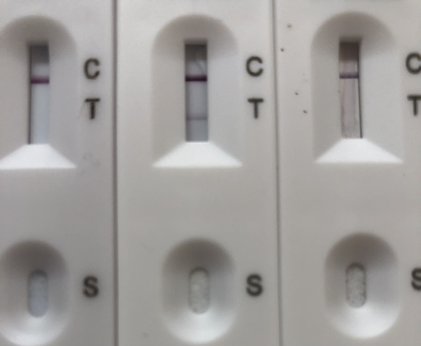 Anyone else keep getting faint positives on LF tests when you sneak a look at them a few hours later?
