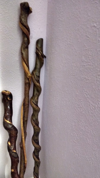 Week 4 - Leaving Lockdown Bootcamp