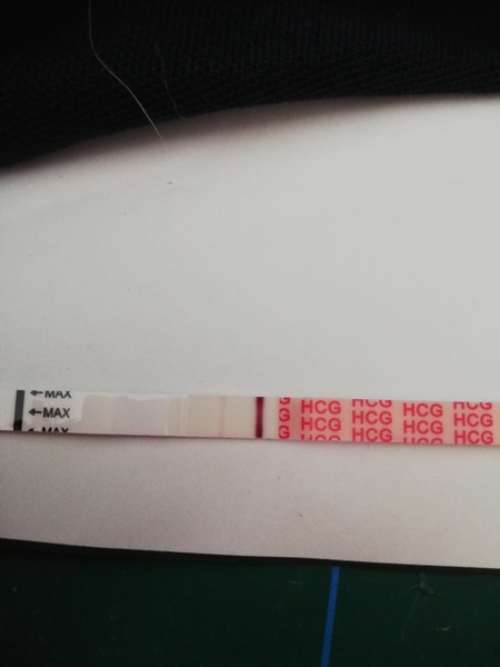Line eyes 11dpo