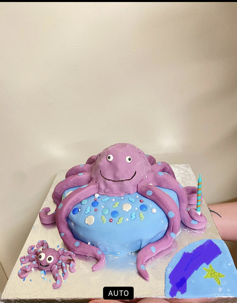 AIBU to think I could make a cake this - never done decorating before