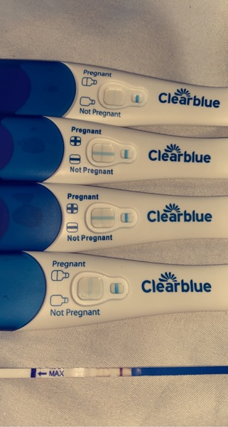 Pregnant or evap line?