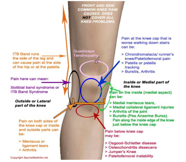Knees
