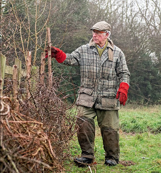 Royal Style - more outfits as lockdown eases, not more black we hope
