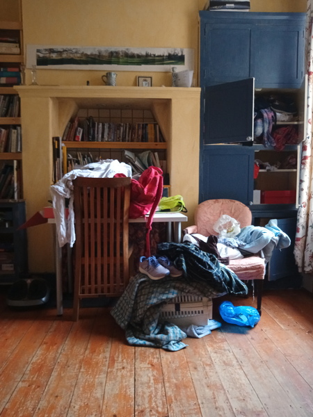 The Hoarders Anonymous #5