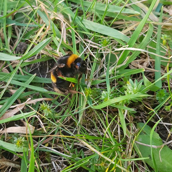 Unable to post pictures