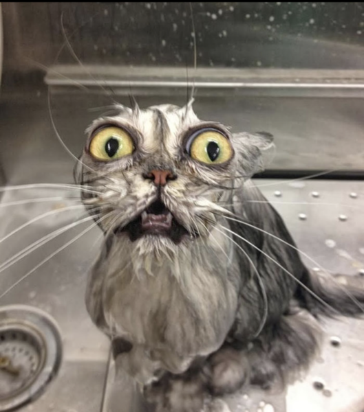 WE ARE NOT INTERESTED IN YOUR WET PUSSY...