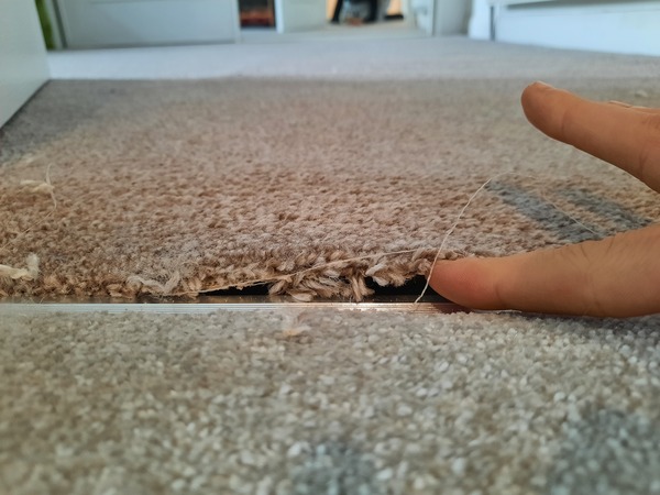 Aibu to be unhappy with this new carpet?