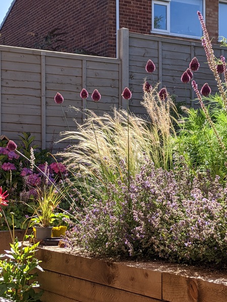 Has anyone DIY prepared the entire flower bed from scratch? Please share tips!