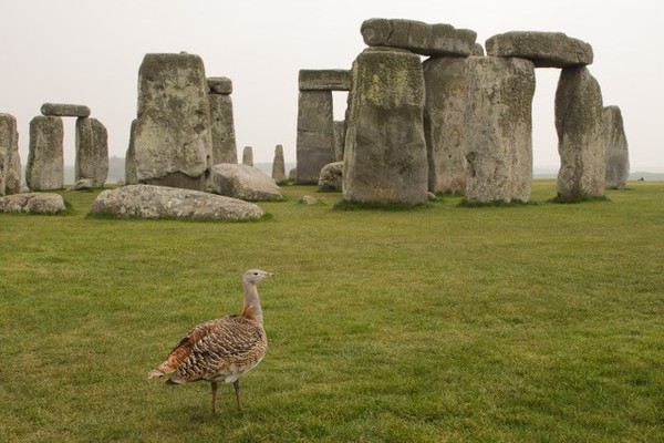 Overrated places in the UK