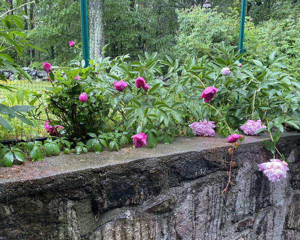 Come and tell me your dull and unexciting news 15: Calmly through the day