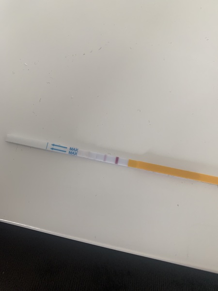 Is this OPK positive  ?