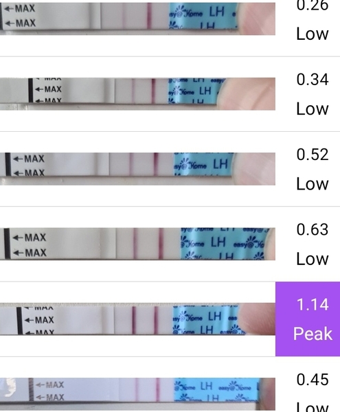 Of course it takes a village when you're dealing with fertility f*ckery TTC bus 41