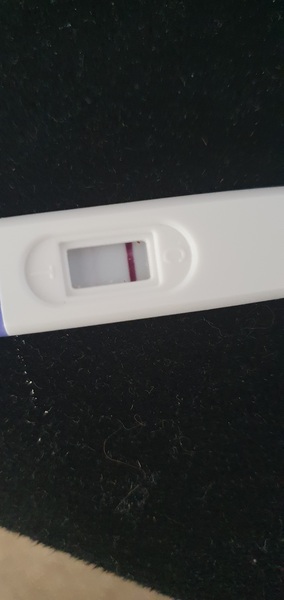 Miscarriage (how soon after can you get pregnant)