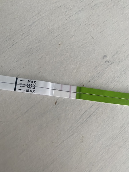 OPK